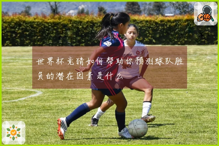 世界杯竞猜如何帮助你预测球队胜负的潜在因素是什么