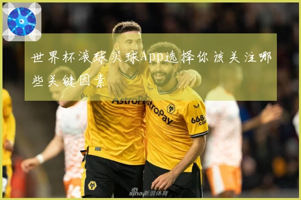 世界杯滚球买球App选择你该关注哪些关键因素