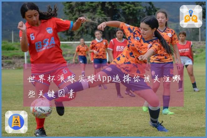 世界杯滚球买球App选择你该关注哪些关键因素
